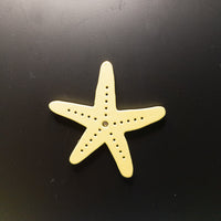 Refrigerator Magnet Starfish, Sea star fridge magnet- decorative magnets, starfish decor
