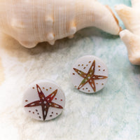 Starfish Earrings, stud earring, Ocean Earrings, Cute and Quirky, Beach Jewelry, Sea Star fish